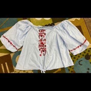 Zara OTS Striped Floral Embroidered Puff Sleeve